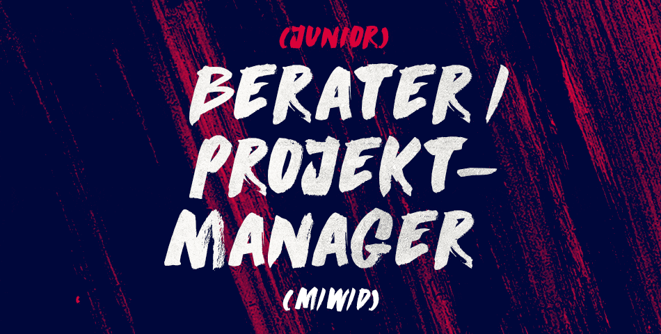 Berater / Projektmanager (m/w/d)